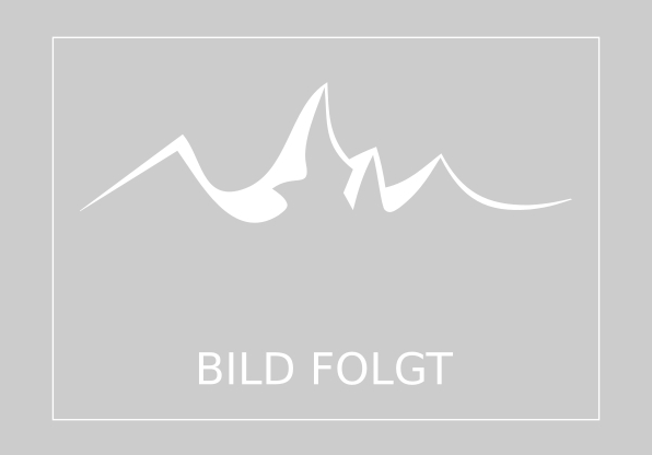 Bild Skiverleih Flachauer Schistadl